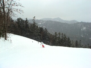 f0181524_2337169.jpg