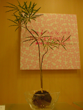 f0045630_9192468.jpg