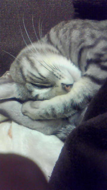 c0125532_2035123.jpg
