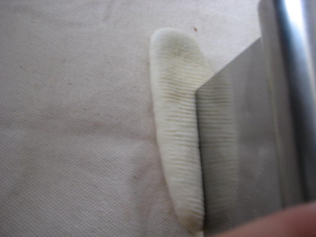 e0166032_21155138.jpg