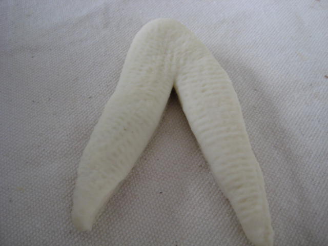 e0166032_21171169.jpg