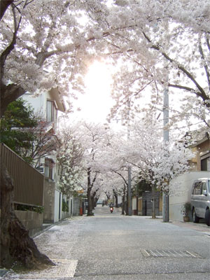 c0193833_1218496.jpg
