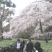 d0033734_14243170.gif