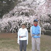 d0033734_14251295.gif