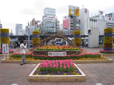 a0055835_20215277.jpg
