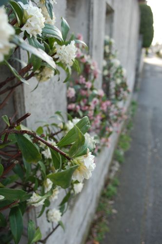 c0111535_18124.jpg