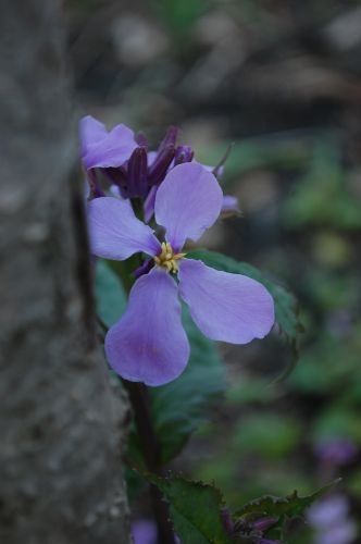 c0111535_18501.jpg