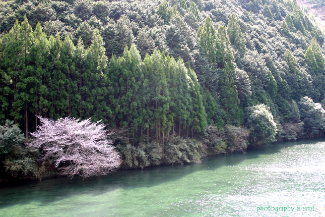 e0083238_21512225.jpg