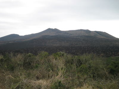 c0170945_161832.jpg