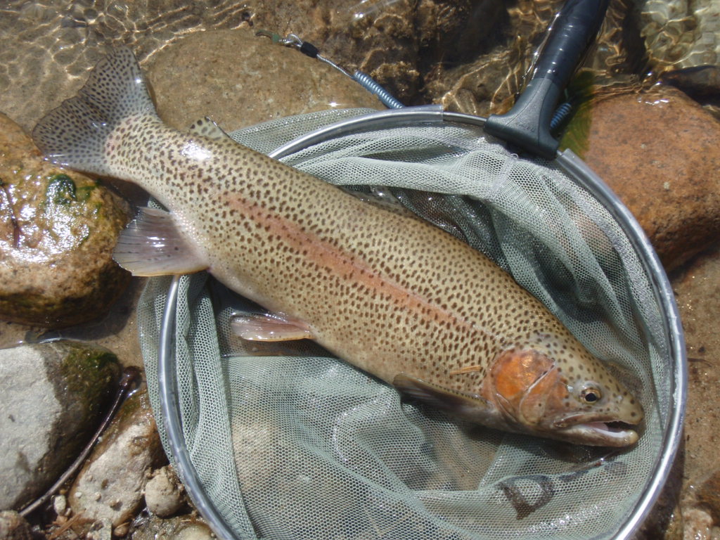 d0083145_21242631.jpg