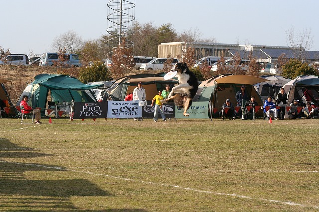 e0111449_20592934.jpg