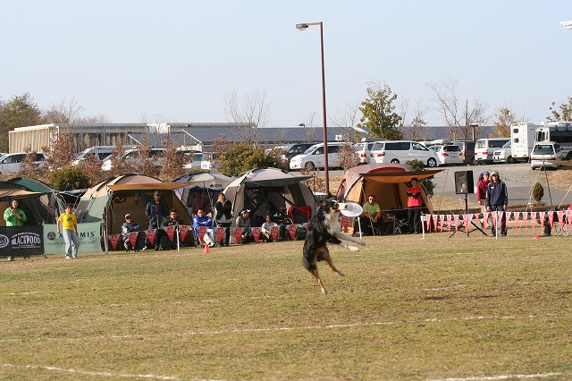 e0111449_210553.jpg