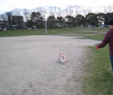 c0043751_1614426.jpg