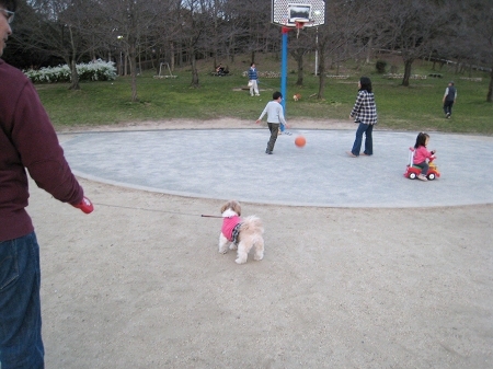 c0043751_16162537.jpg