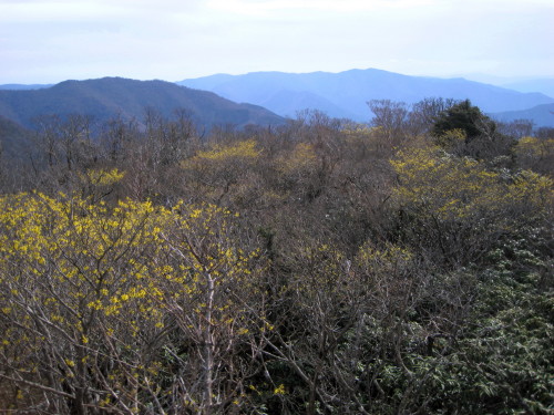 c0179351_18283933.jpg