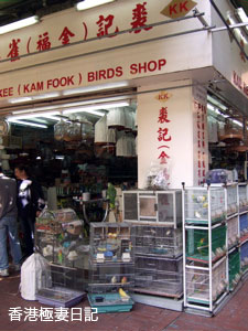 f0190653_8154010.jpg