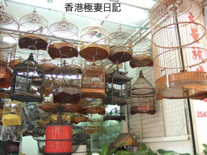 f0190653_8172248.jpg