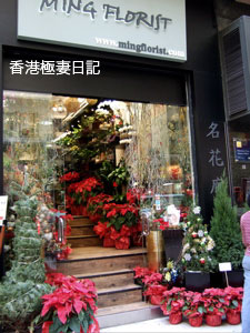 f0190653_820254.jpg