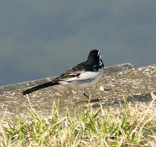 d0091754_2313049.jpg