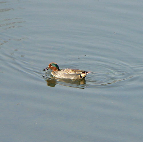 d0091754_27620.jpg