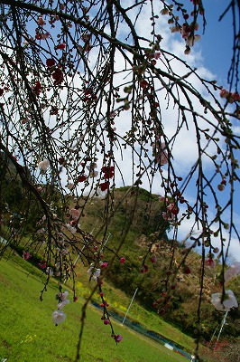 a0117858_2259357.jpg