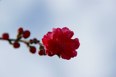 a0117858_23215758.jpg