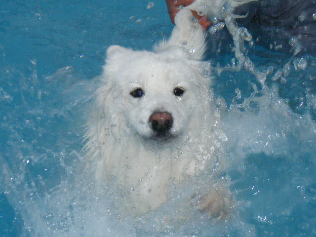 e0129661_0382527.jpg