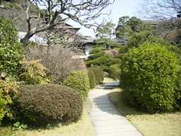 a0055866_14454177.jpg