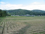 e0041168_10174629.jpg