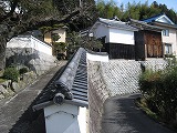 e0041168_105068.jpg