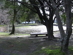 e0041168_9453521.jpg