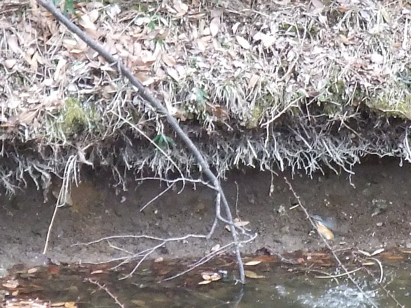 b0083779_0165889.jpg