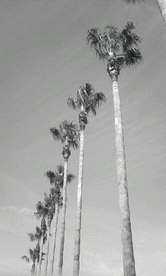 f0100480_21251970.jpg