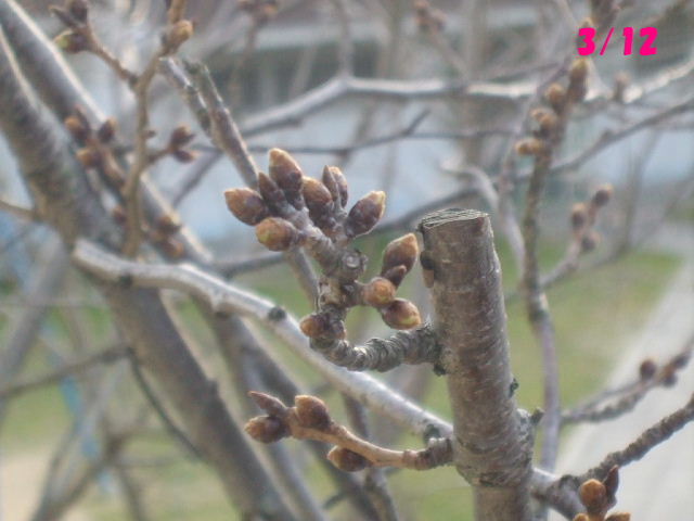f0005081_22314562.jpg