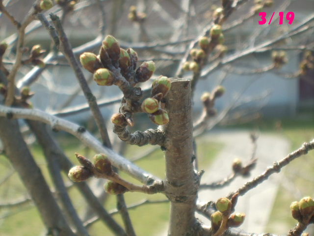 f0005081_22332791.jpg