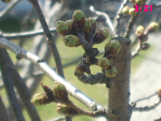 f0005081_22334133.jpg
