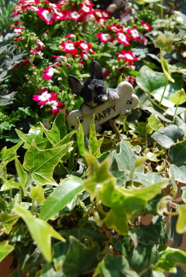 c0092787_10162920.jpg