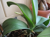 e0152990_16172433.jpg