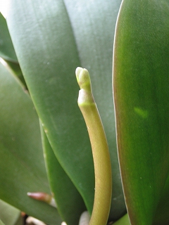 e0152990_16383338.jpg