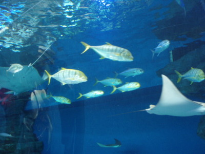 c0086895_2204036.jpg