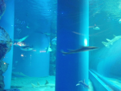 c0086895_2234972.jpg