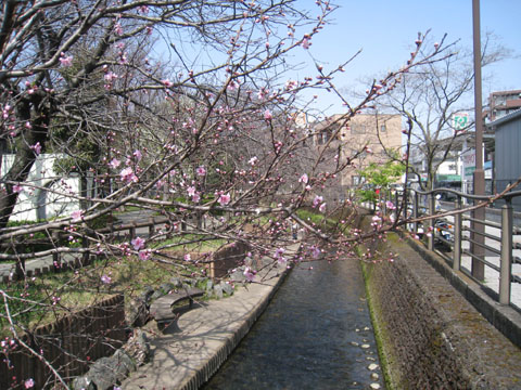 d0056197_8432171.jpg