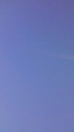 e0157402_22111127.jpg