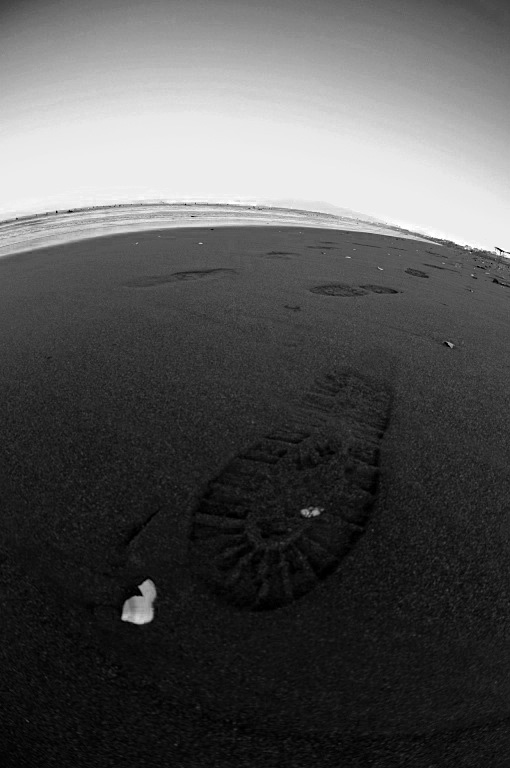 d0119505_5565545.jpg