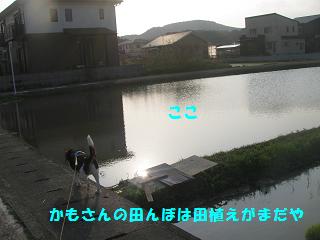 d0104209_20425736.jpg