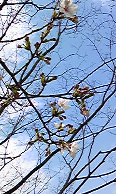 c0148010_14302524.jpg