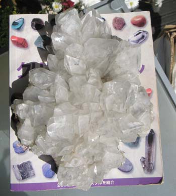 e0139012_7334137.jpg