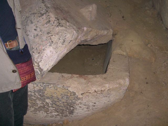 d0007913_180599.jpg
