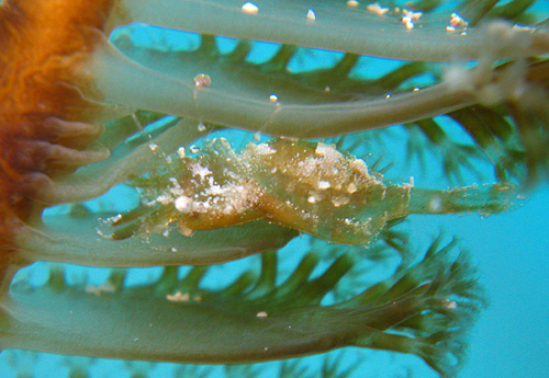 f0041021_18185640.jpg