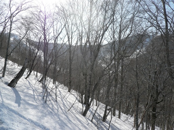 a0049226_005594.jpg